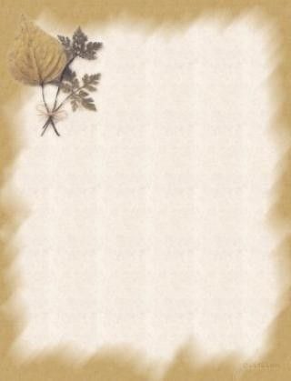 parchemin 2 - Page 2